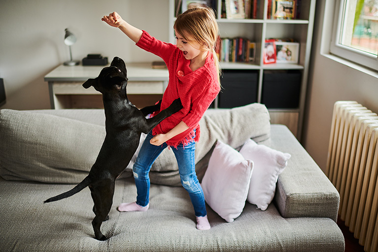 Girl playing with a dog on the sofa